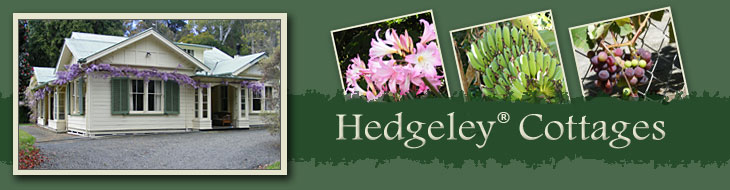 Hedgeley header